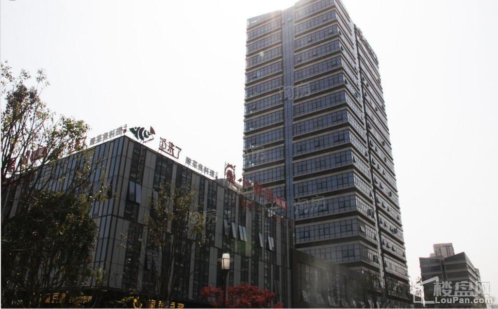 实景图