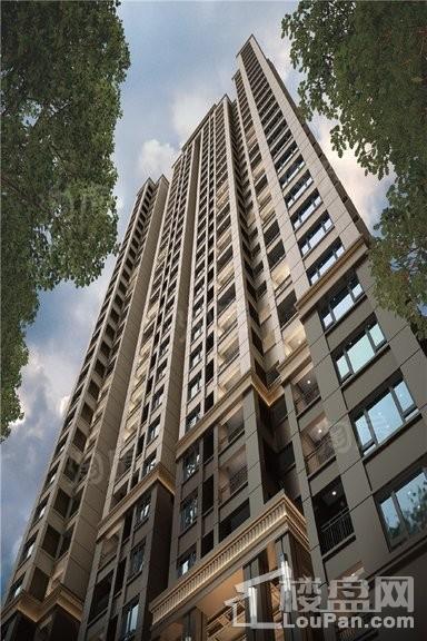 金科中建集美阳光效果图