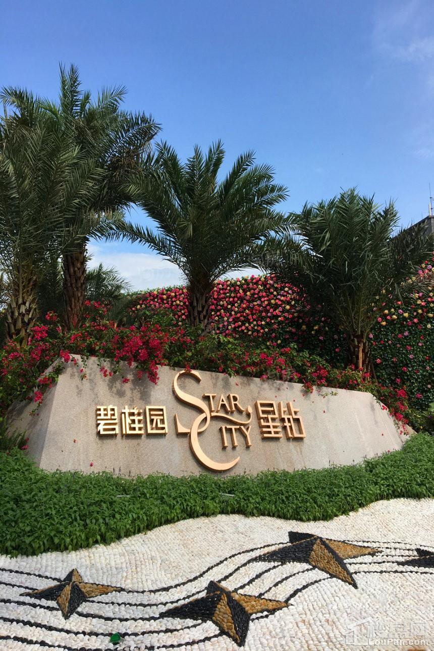 碧桂园星钻实景图