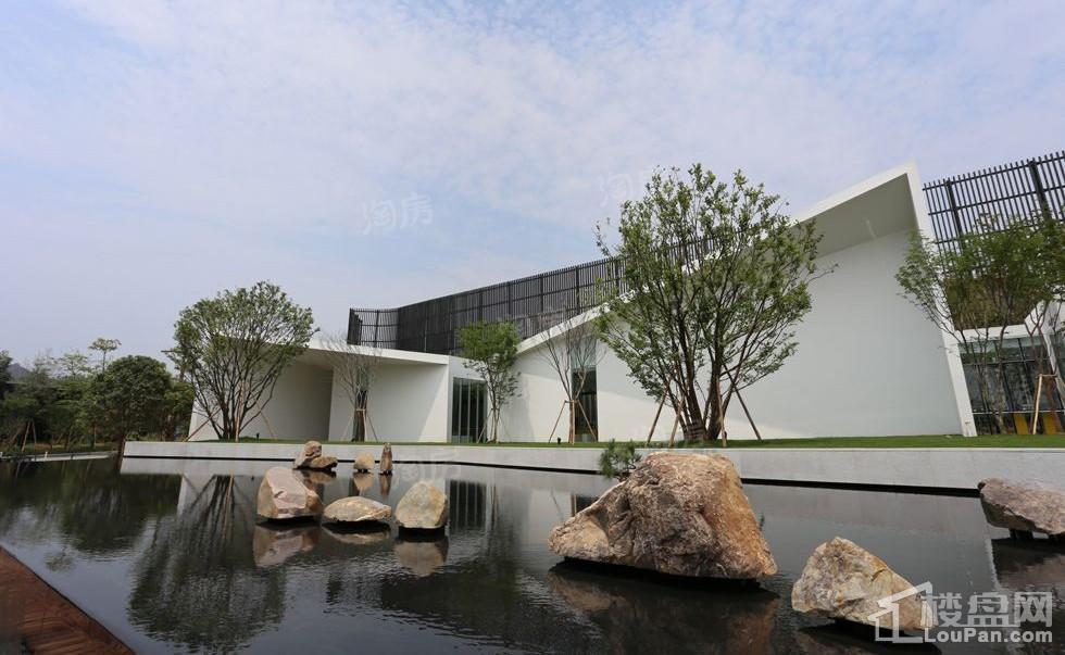 实地蔷薇国际实景图