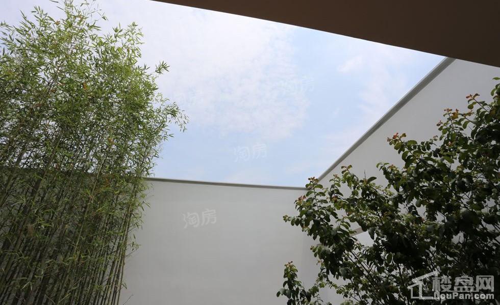实地蔷薇国际实景图