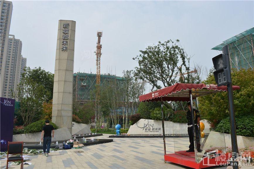 实景图