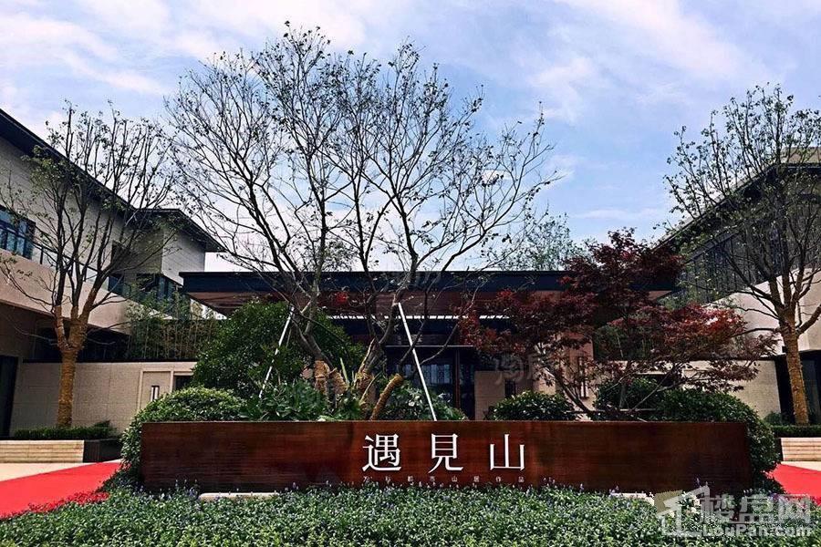 实景图