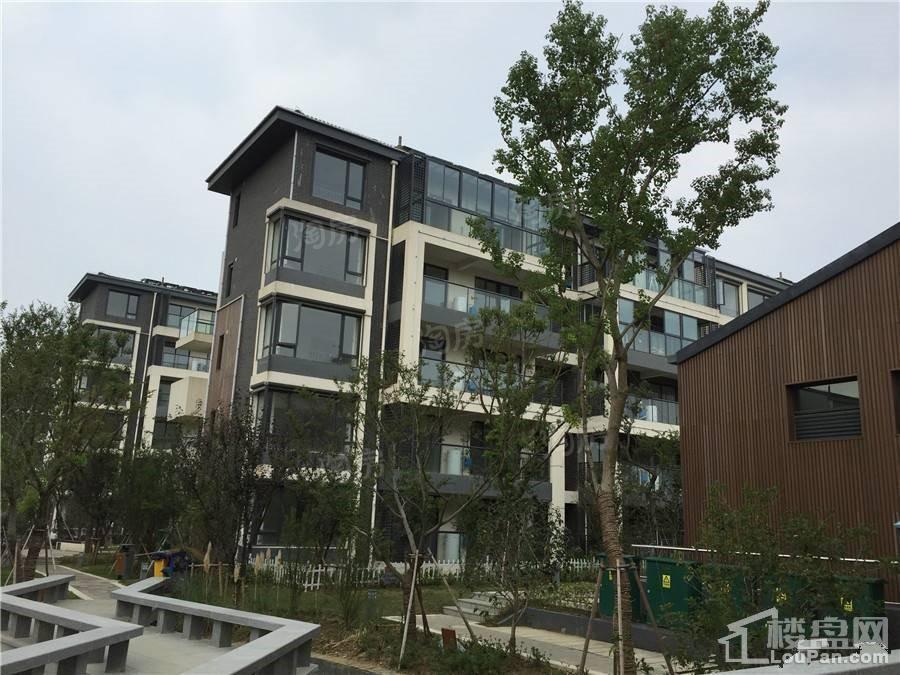中节能生态岛别墅实景图