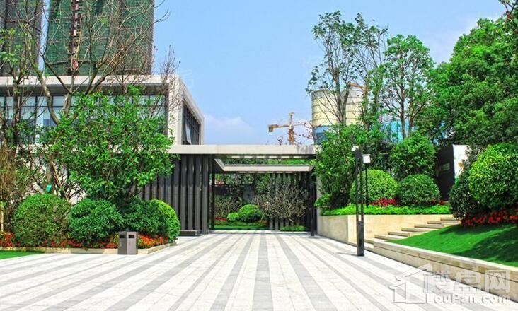 新力琥珀园实景图