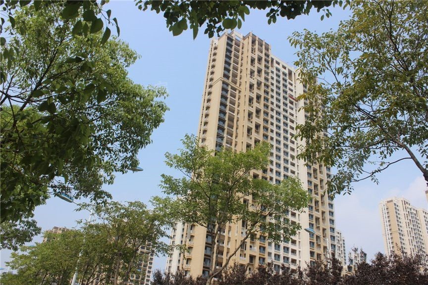 实景图