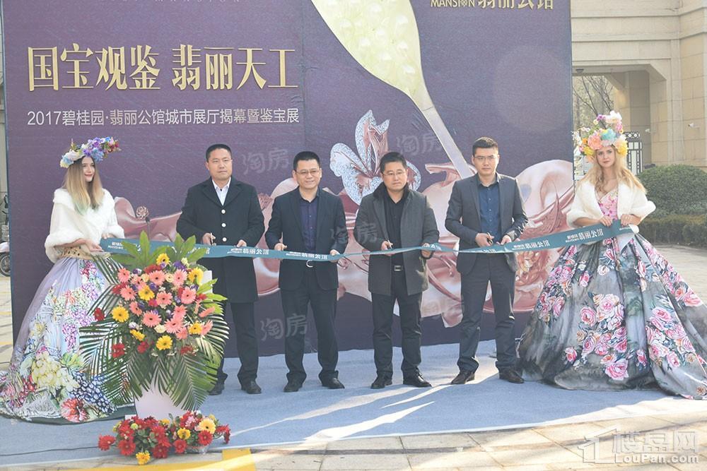 碧桂园·翡丽公馆实景图