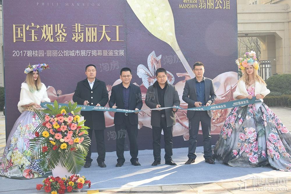 碧桂园·翡丽公馆实景图