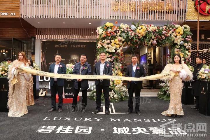 碧桂园城央壹品效果图