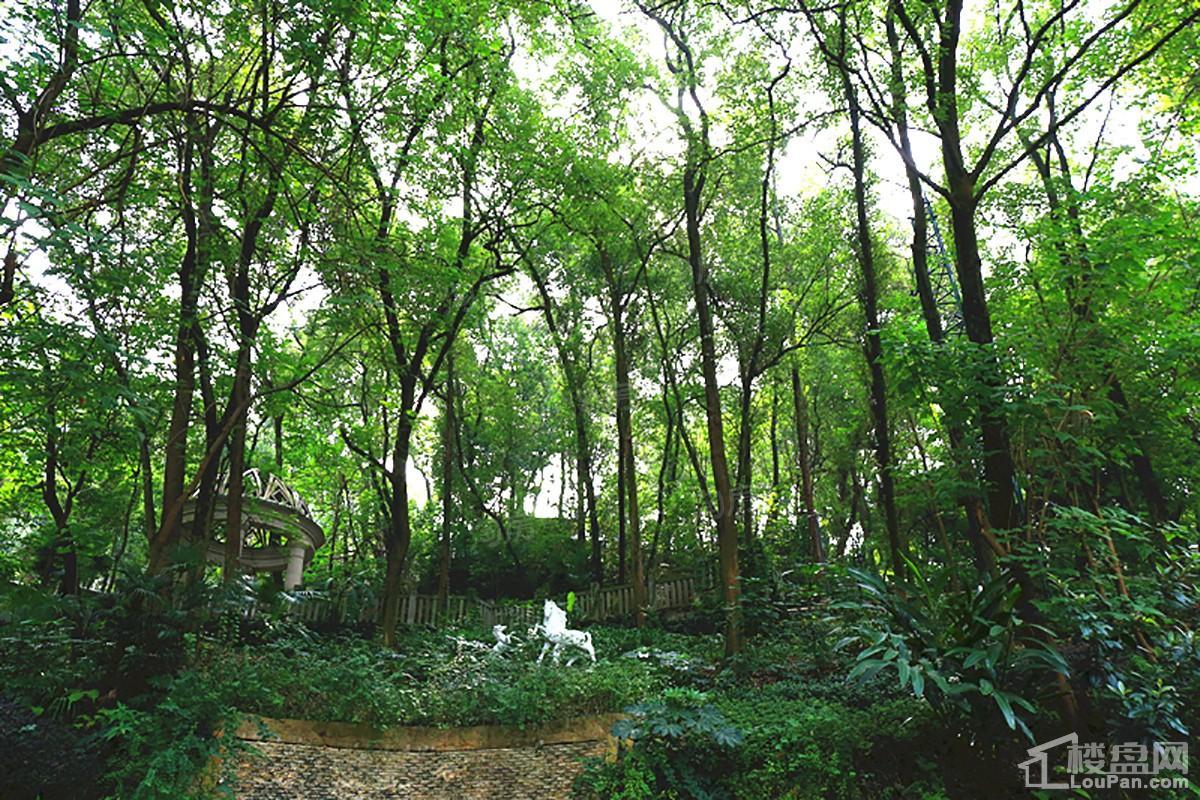 华宇小泉雅舍实景图