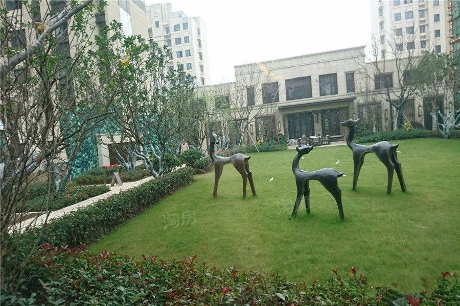 实景图