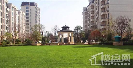 橡树玫瑰城实景图