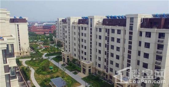 橡树玫瑰城实景图