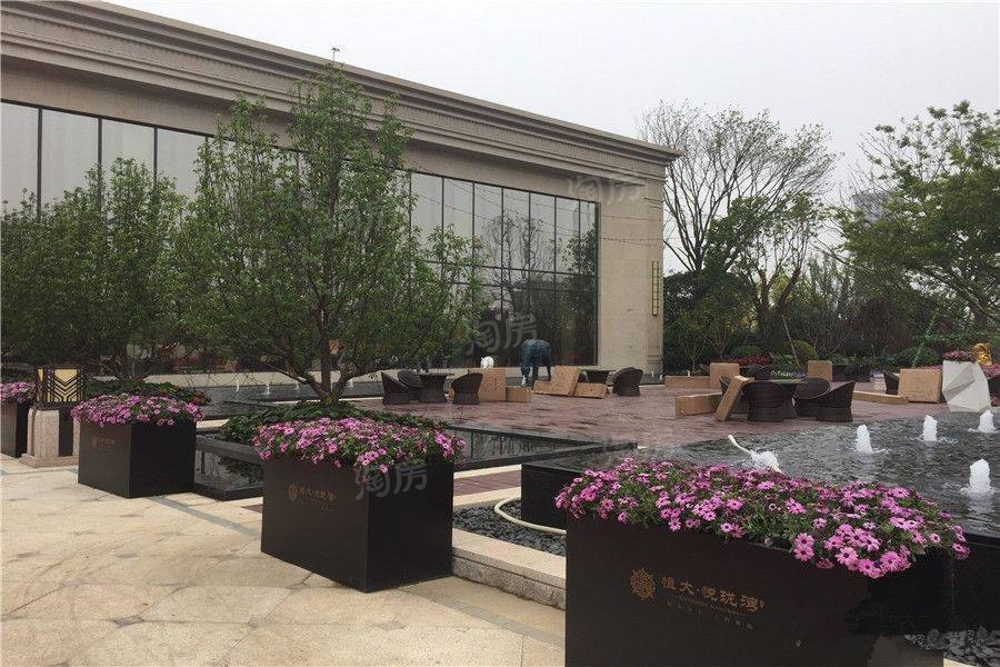 实景图