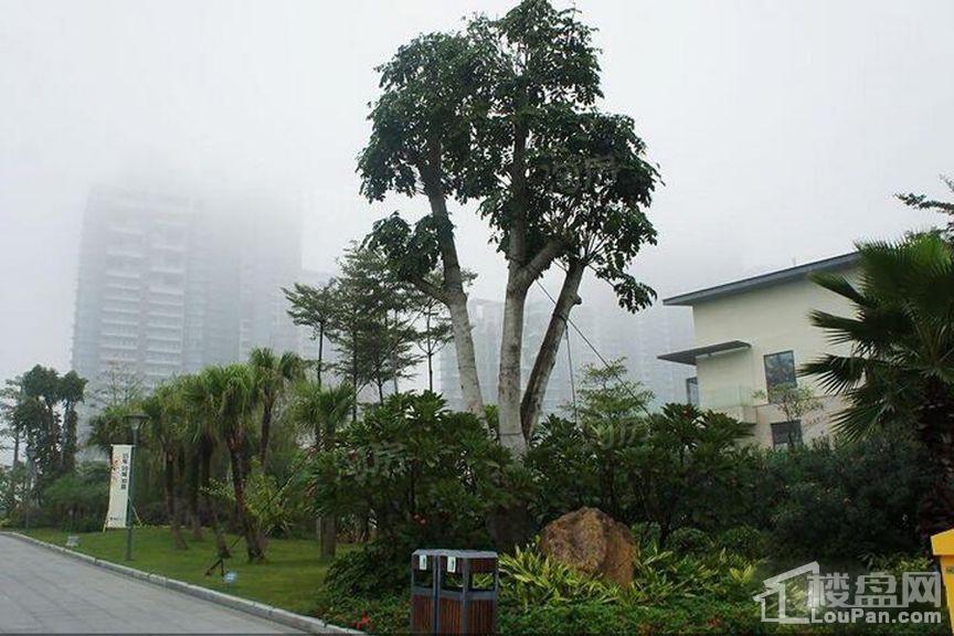 颐和盛世实景图