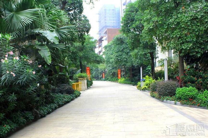 颐和盛世实景图