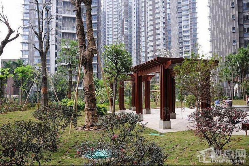 颐和盛世实景图