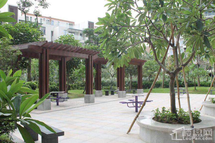 颐和盛世实景图