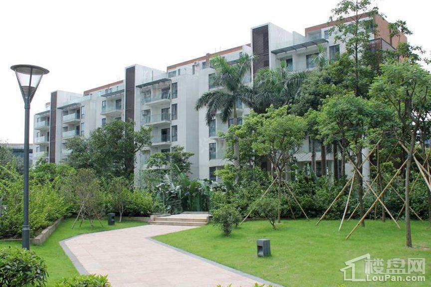 颐和盛世实景图