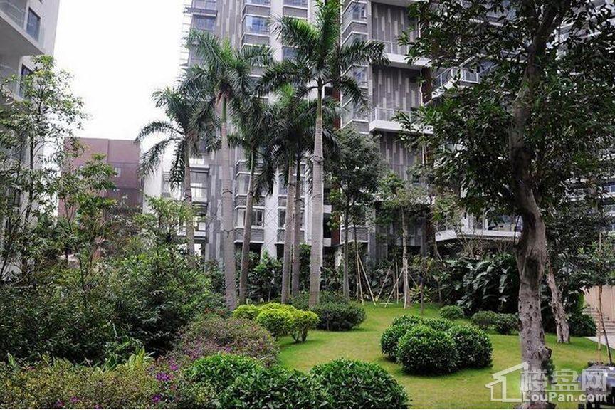 颐和盛世实景图