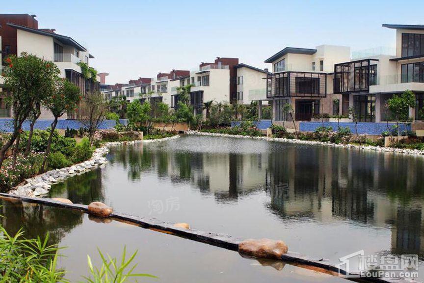 颐和盛世实景图