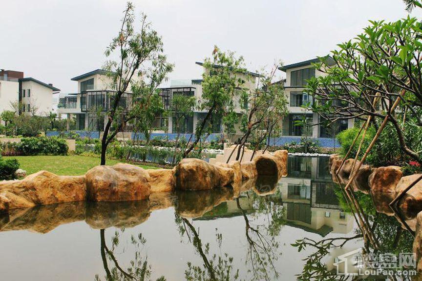 颐和盛世实景图