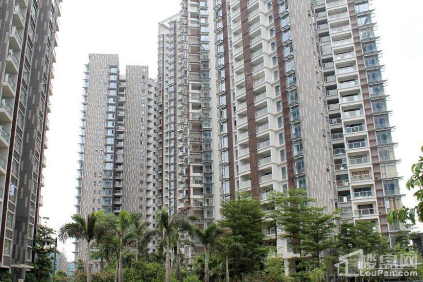 颐和盛世实景图