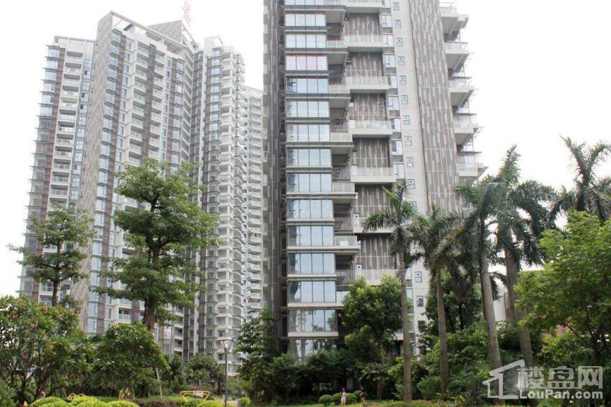 颐和盛世实景图