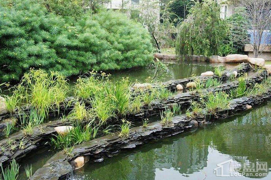 颐和盛世实景图