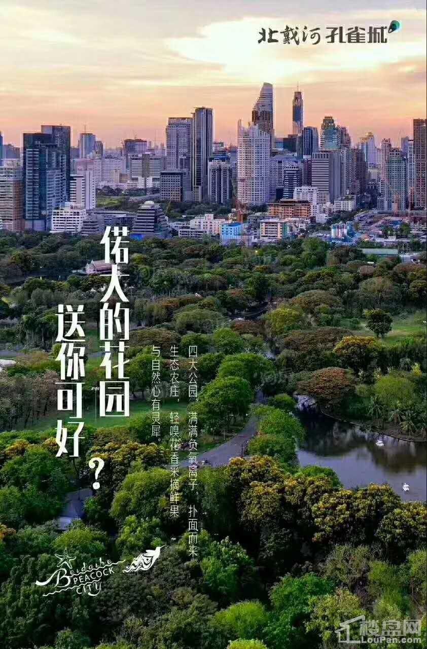 北戴河孔雀城效果图