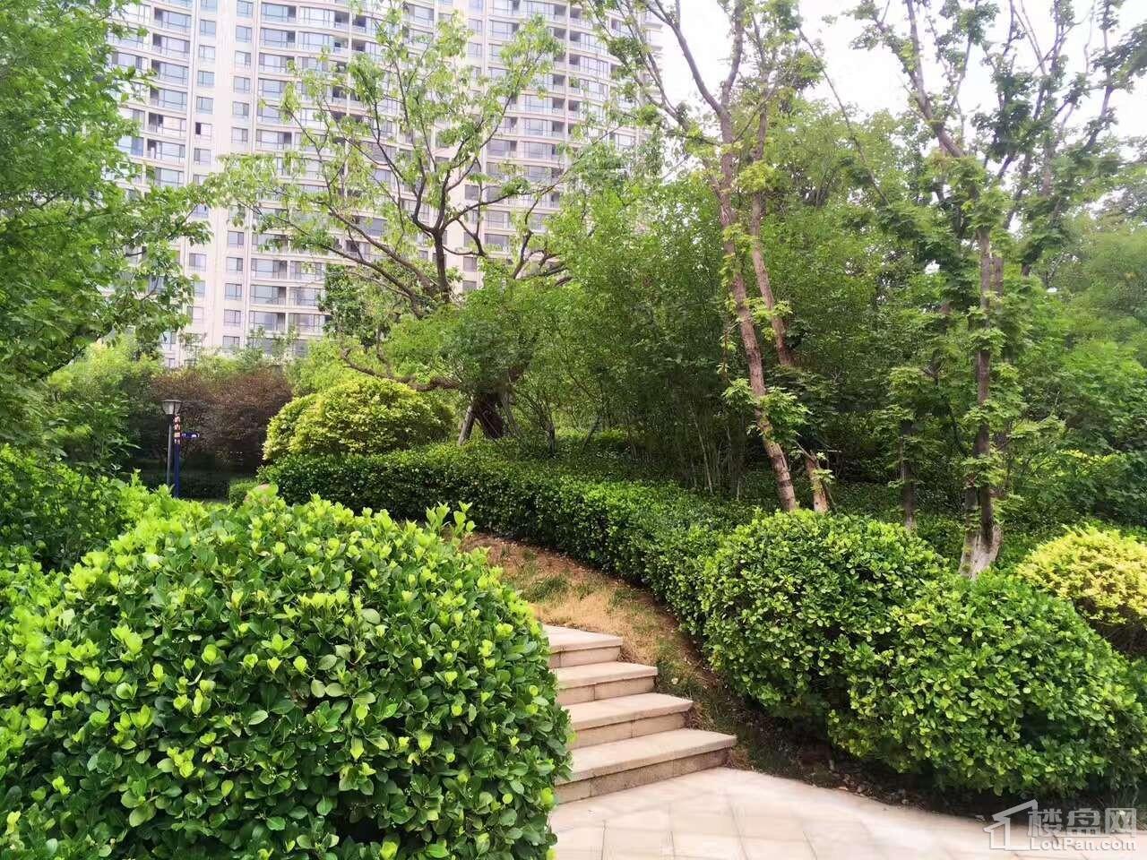 金梦海湾1号实景图
