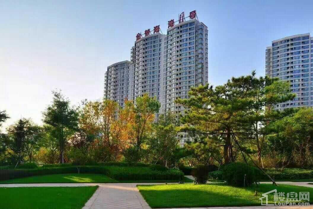 金梦海湾1号实景图