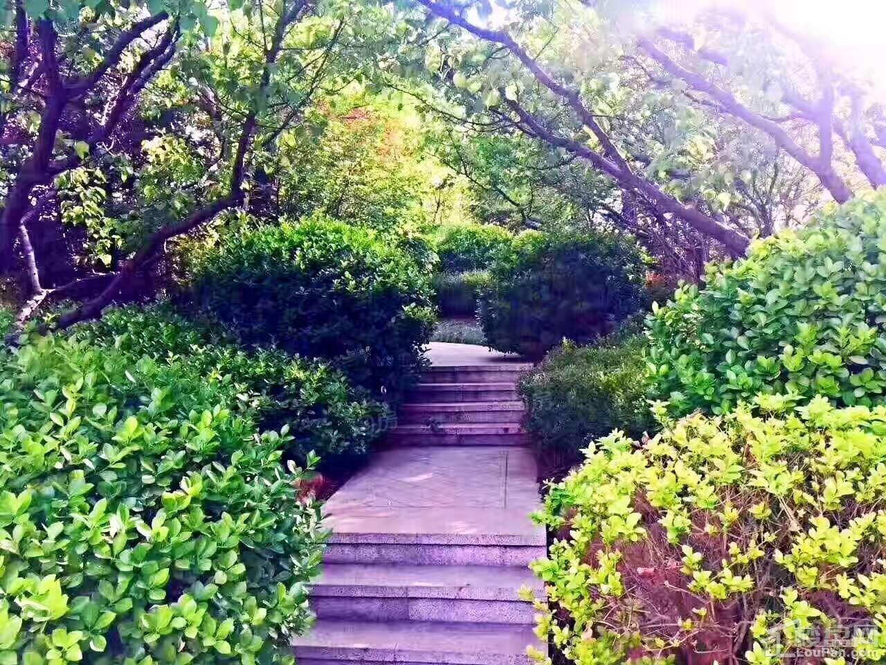 金梦海湾1号实景图