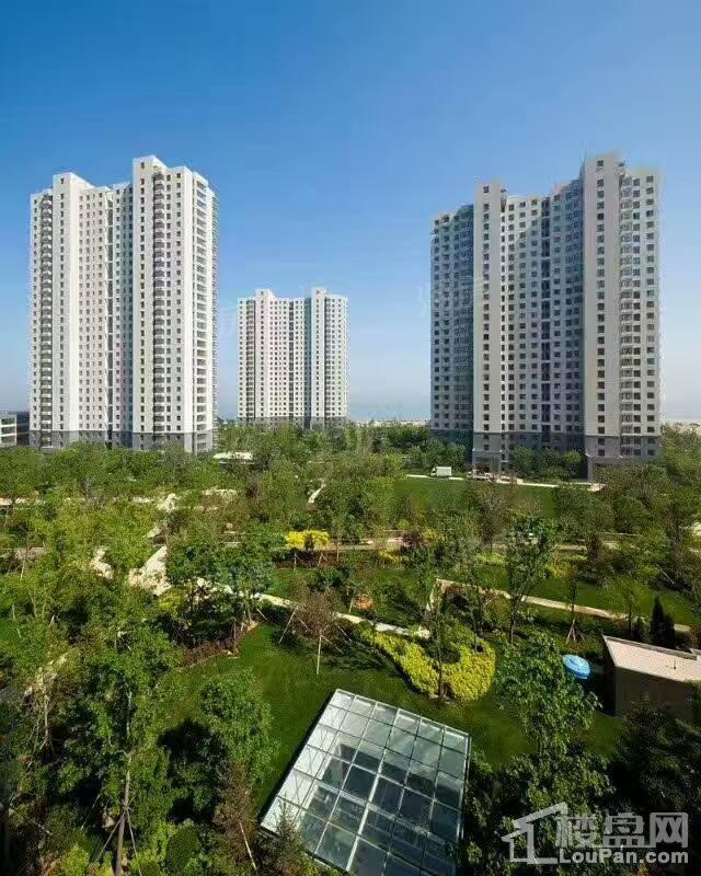 金梦海湾1号实景图