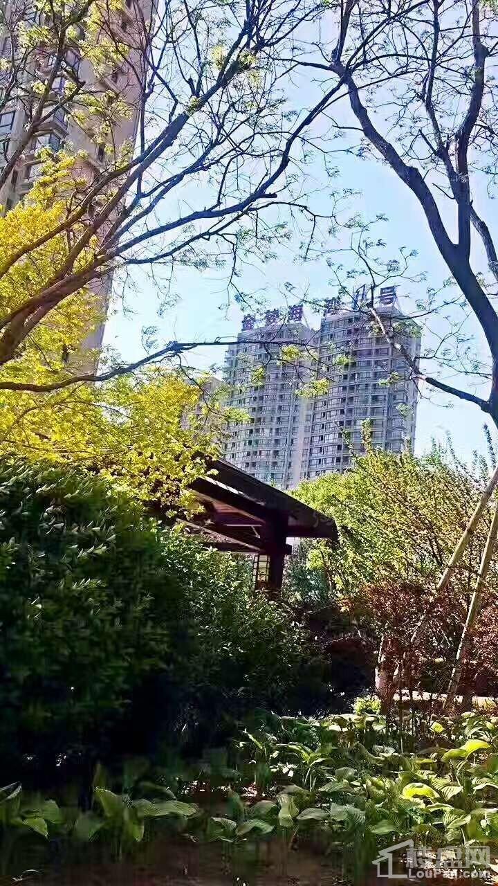 金梦海湾1号实景图