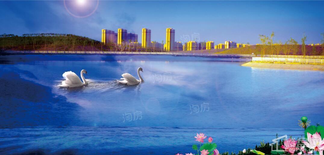 紫金城西湖御园效果图