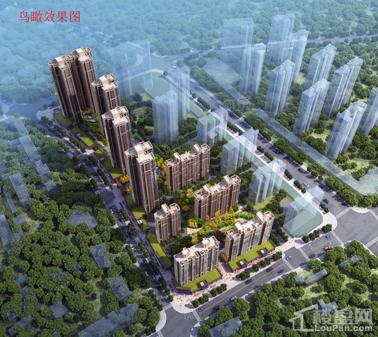 效果图