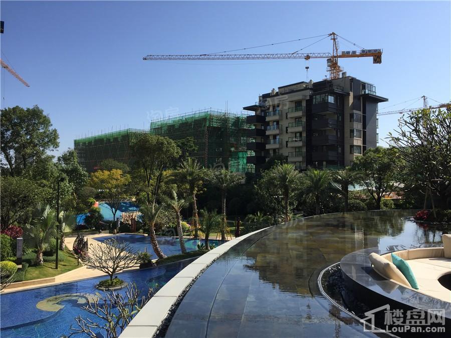 彰泰红实景图