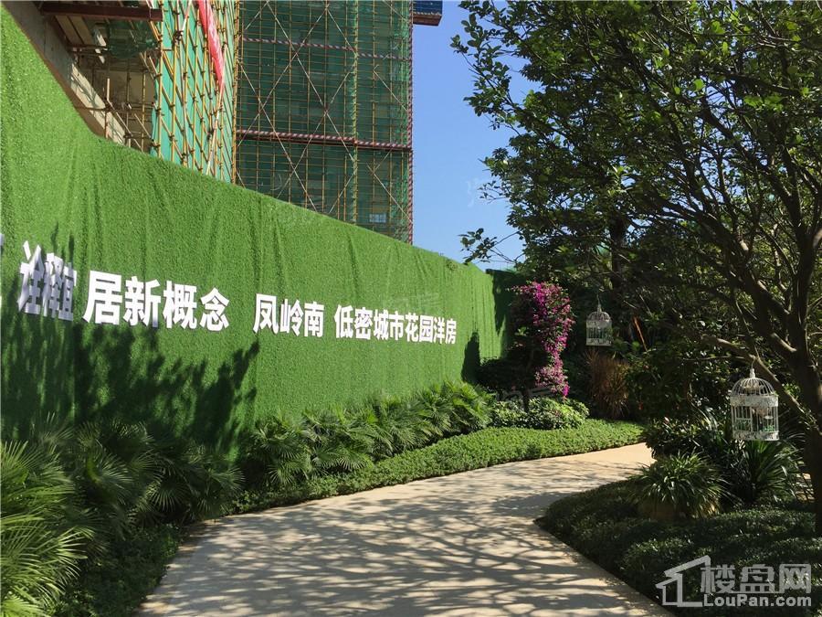 彰泰红实景图