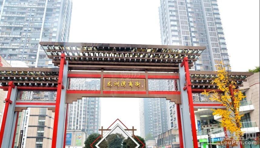 联发龙洲湾1号配套图