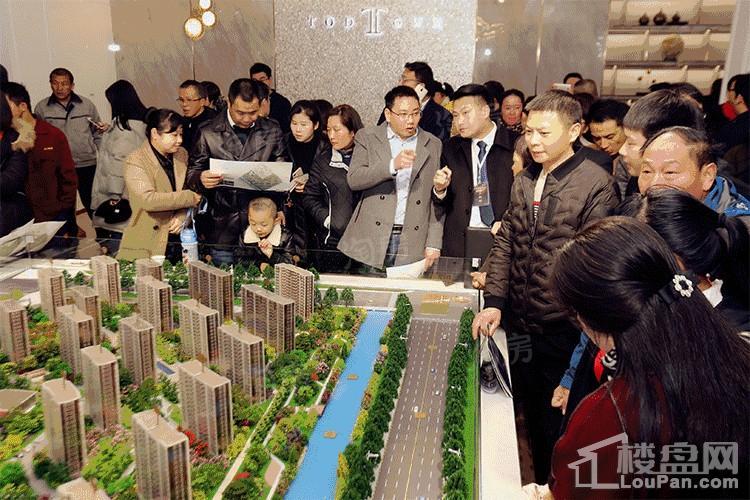 德信碧桂园观澜苑实景图