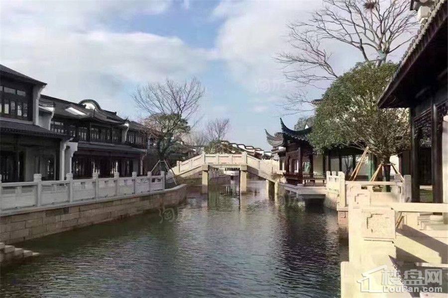 新西塘孔雀城效果图