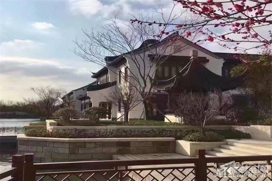 新西塘孔雀城效果图