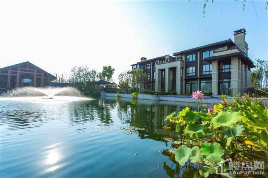 新西塘孔雀城效果图