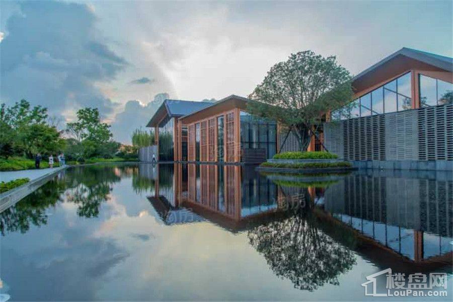 新西塘孔雀城效果图