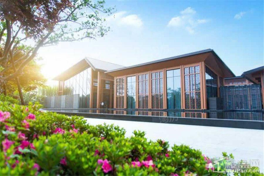 新西塘孔雀城效果图