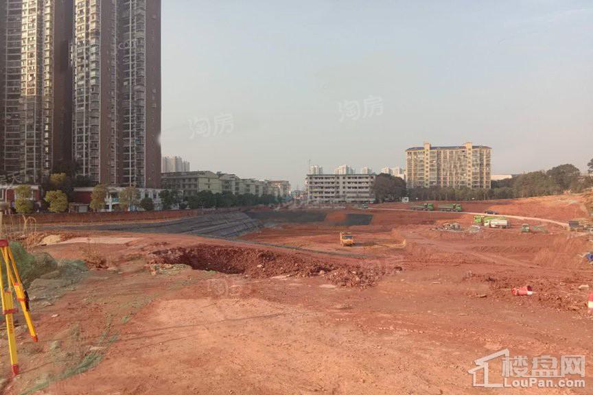 星城春晓实景图