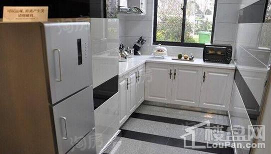 金洋·紫金艺境样板间