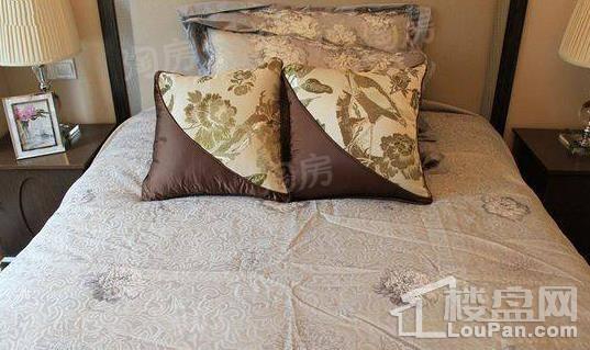 金洋·紫金艺境样板间