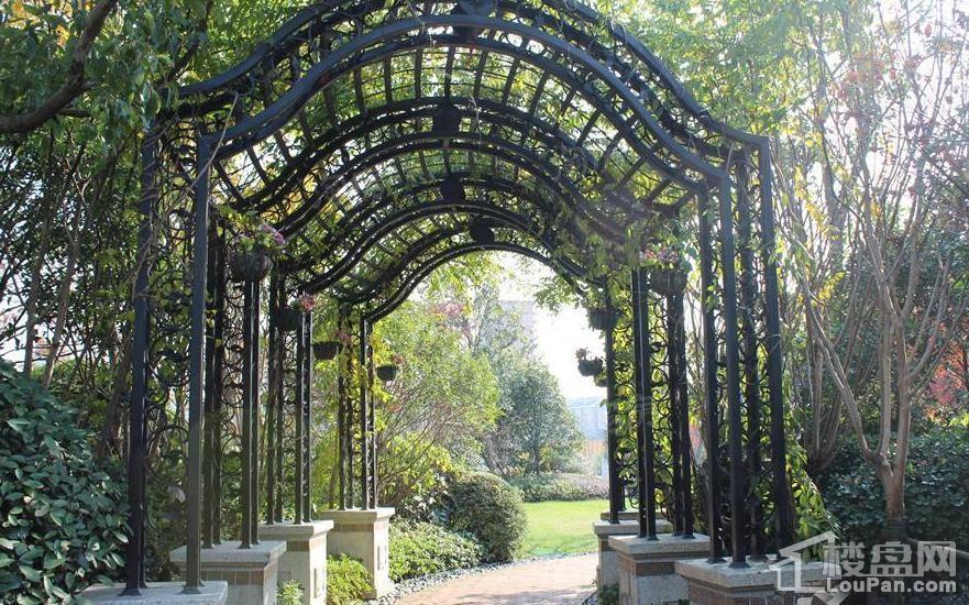 金洋·紫金艺境实景图